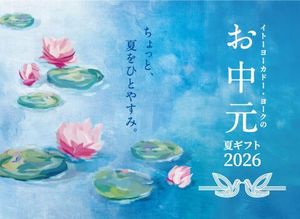 ヨークマート 草加店｜店舗詳細｜モールプラザ草加
